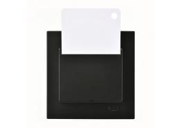 Ключ карта Егона черна