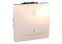 Ключ за бойлер 16А двумодулен механизъм Unica слонова кост