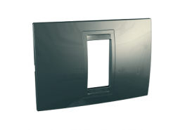 Рамка 1 модул Unica Allegro шампанско