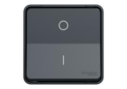 Mureva ключ двуполюсен антрацит открит монтаж MUR35033