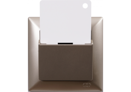 Ключ карта Visage бежова