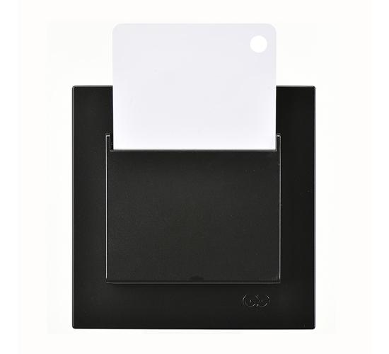 Ключ карта Егона черна main image