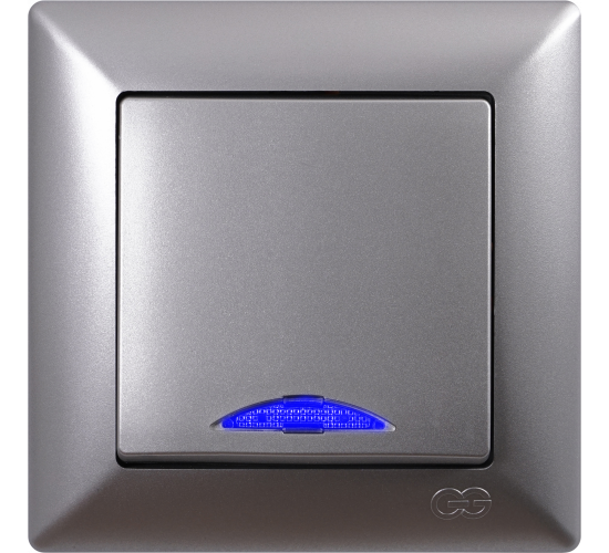 Ключ единичен светещ схема 1 Visage сив main image