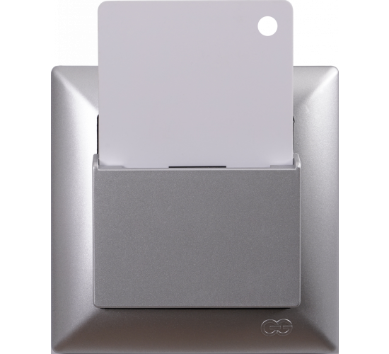 Ключ карта Visage сива main image