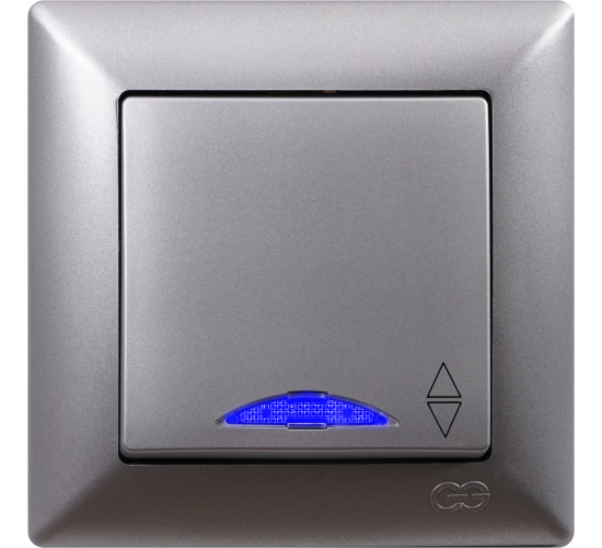 Ключ девиатор светещ схема 6 Visage сив main image