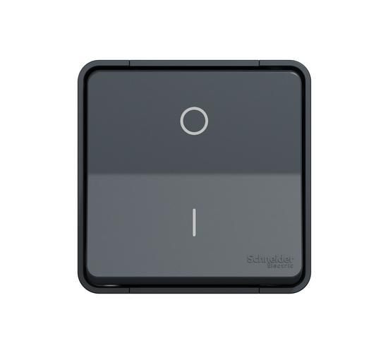 Mureva ключ двуполюсен антрацит открит монтаж MUR35033 main image