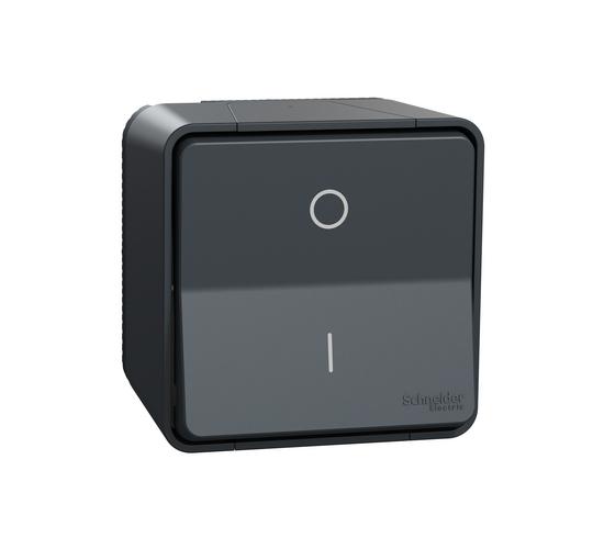 Mureva ключ двуполюсен антрацит открит монтаж MUR35033 main image