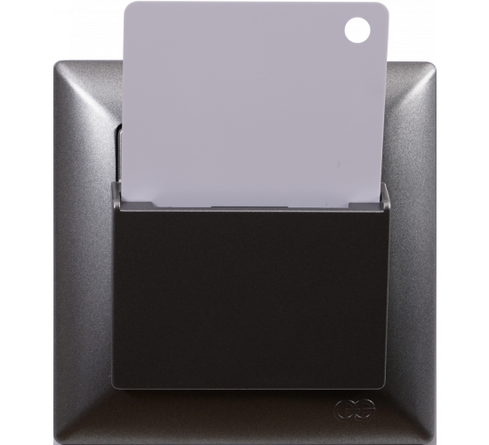 Ключ карта Visage тъмносива main image